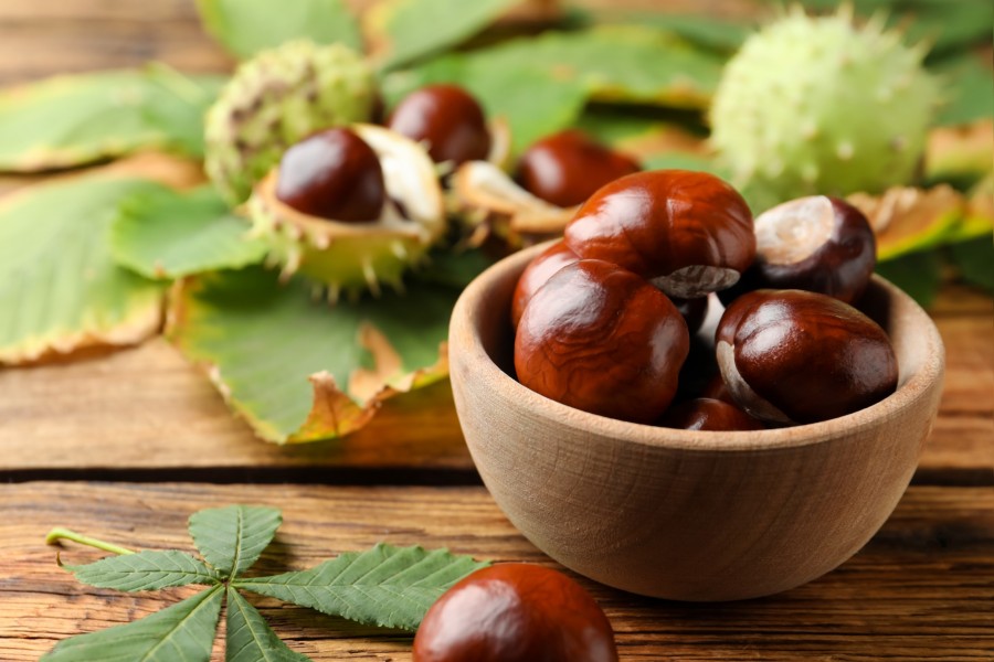 Comment préparer une délicieuse crème de marrons ?